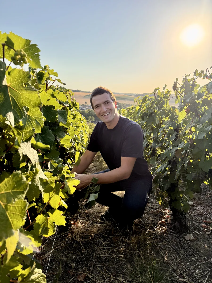 Benoît Lheureux dans les vignes
