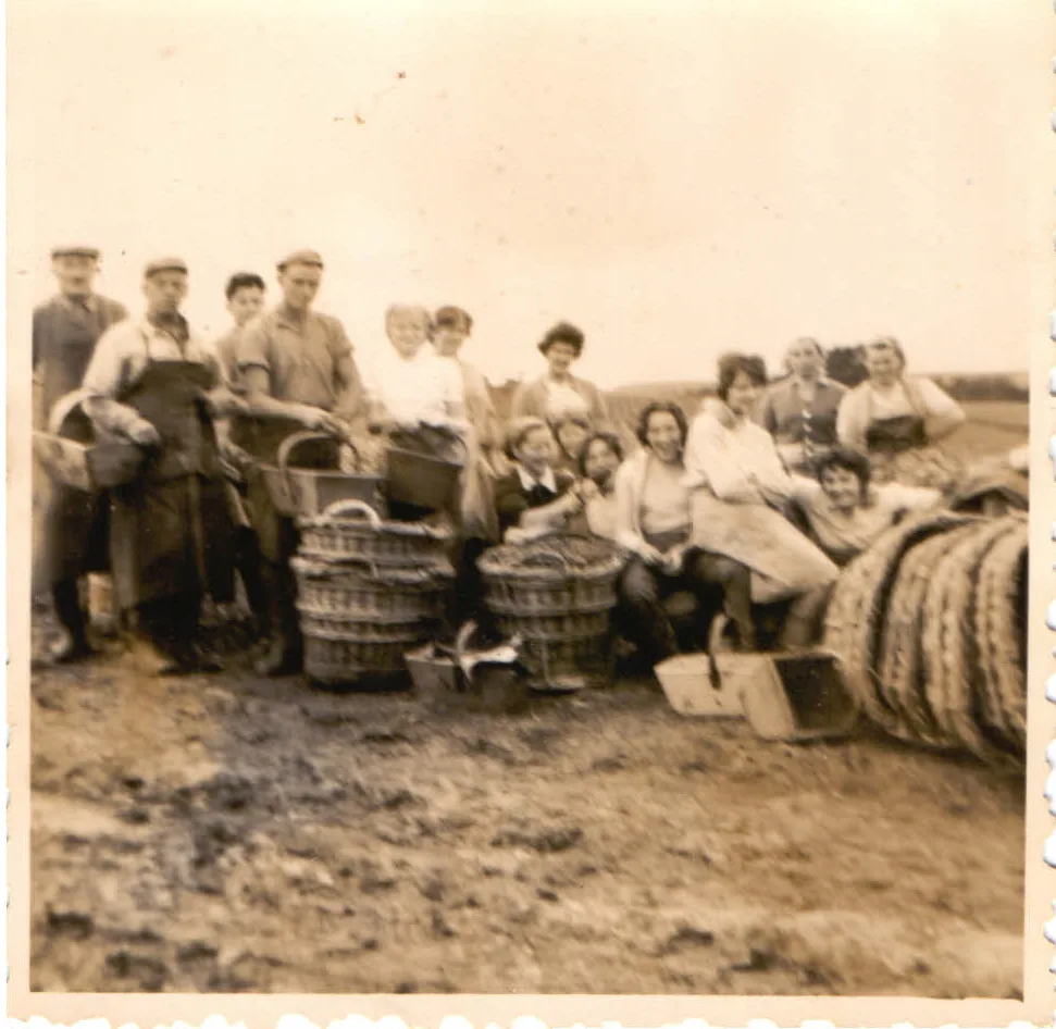 Vendanges en famille